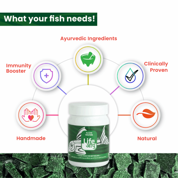 Second image of Life Aayu Algae Wafer Fish Food 45g