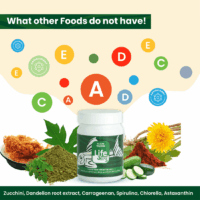 AlgaeWaffer_45gm_1_-03