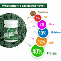 AlgaeWaffer_45gm_1_-07