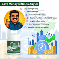 AlgaeWaffer_45gm_1_-10