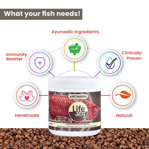 Second image of Life Aayu Arowana Premium Food – Handmade Ayurvedic Diet for Asian Arowanas | Color Boost, Muscle Growth & Immunity 100g