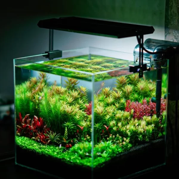 Azur Beam-1 Pro 30-45cm