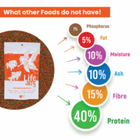 GoldFishSmall100G-07