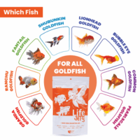 GoldFishSmall100G-08