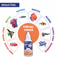 Nutrofitplus20ml-07_2f129399-93f1-45af-91f7-9d6476603ba0