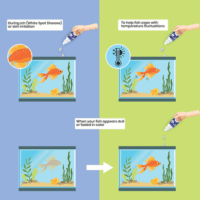 Nutrofitplus20ml-09_30a513a2-4581-42aa-9679-f3d7b9ed02f4