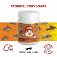 TropicalCoryDoars45G-01